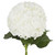 White And Shocking Blue Hydrangeas - Fresh Cut Flowers - 30 Stems - By Bloomingmore