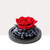 Growment Beauty And The Beast Preserved Roses In Glass Forever Eternal Rose With Led Gifts For Valentine Wedding Christmas Gift A