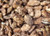 Praline Pecans