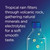 Fiji Natural Artesian Water, 16.9 Fl Oz (24 Bottles)