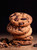 Lili’s Gourmix Chocolate Chip Cookie Mix, Sugar & Gluten Free, Low Carb, Keto 6.6 Oz - 186 G