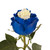 Painted Marshmallow White & Blue Roses - 50 Cm - Fresh Cut Flowers - 50 Stems - By Bloomingmore