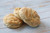 Mom's Gluten-free & Dairy Free Buttermilk Biscuit Mix