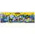 Brisk Lemon Iced Tea, Bold Lemon Flavor, 12 Fl Oz, 12 Pack Cans