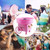 Kangyuanshuai Marshmallows Machine Retro Durable Mini Candy Cooking Tool