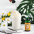Good Good Caramel Stevia Drops, 1.69fl Oz