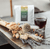 Commonplace Coffee - All Day, Whole Bean, Dark Roast, 8.8oz