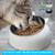 200ml Pet Cat Bowl Raised No Slip Stainless Steel Tilted Feeder Bowls New Pet Supplies