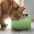 200ml Pet Cat Bowl Raised No Slip Stainless Steel Tilted Feeder Bowls New Pet Supplies