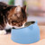 200ml Pet Cat Bowl Raised No Slip Stainless Steel Tilted Feeder Bowls New Pet Supplies