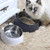 200ml Pet Cat Bowl Raised No Slip Stainless Steel Tilted Feeder Bowls New Pet Supplies