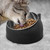 200ml Pet Cat Bowl Raised No Slip Stainless Steel Tilted Feeder Bowls New Pet Supplies
