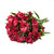 Alstroemeria 50 Stems Of Red Farm Direct Fresh Cut Flowers By Bloomingmore
