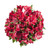 Alstroemeria 50 Stems Of Red Farm Direct Fresh Cut Flowers By Bloomingmore