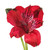 Alstroemeria 50 Stems Of Red Farm Direct Fresh Cut Flowers By Bloomingmore