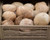 Coconut, Each