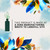 Herbal Essences Repairing Daily Shampoo & Conditioner With Argan Oil, Citrus & Creamy Vanilla Scent, Full Size Set, 2 Piece