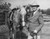 Col. Frank Knox History (36 X 24)