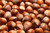 Freshly Harvested American Grown Raw In-shell Whole Hazelnuts Filberts Large  - 4lb