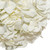 Hydrangeas 40 Stems Of White Farm Direct Fresh Cut Flowers By Bloomingmore