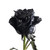 Painted Blade Confetti Roses - 50 Cm - Fresh Cut Flowers - 50 Stems - Black/white Roses - By Bloomingmore