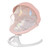 Baby Infant Swing Bouncer With Adjustable Angle Net Toy & Music Pink