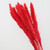 Karcher Dried Flower Bouquet Natural Dried Flowers Bouquet Reed Flores Pampas Wheats Ears Setaria For Home Office Decoration