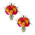 Rainbow Gerbera Bouquet - Fresh Cut -  31 Stems - 2 Pack
