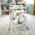 Ingenuity Smartbounce Automatic Baby Bouncer Seat - Pemberton