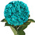 Hydrangeas 15 Stems Of Airbrushed Aqua Green Farm Direct Fresh Cut Flowers By Bloomingmore