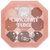 Profusion Cosmetics Sweet Holiday 9 Shade Eyeshadow Palettes - Chocolate Fudge