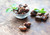 Food To Live, Organic Medjool Dates, 2 Pounds, Non-gmo, Raw