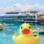 Novelty Place Float Rubber Duck Ducky Baby Bath Toy For Kids (12 Pcs)