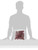 Cherry Tootsie Pops 75 Pops