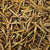 Great Value Rosemary Leaves, 0.8 Oz