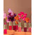 Milani Color Fetish Matte Lipstick, Peony