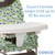 Cosco Simple Fold High Chair, Elephant Squares