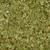 Great Value Cilantro Leaves, 0.5 Oz