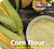 Rani Corn Flour (makki Ka Atta) 32oz (2lbs) 908g Bulk ~ All Natural | Vegan | Gluten Friendly | Non-gmo | Indian Origin