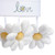 Lambs & Ivy Sweet Daisy White Floral Musical Baby Crib Mobile Soother Toy