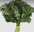 Fresh Kale Greens, Bunch, 1 Each