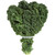 Fresh Kale Greens, Bunch, 1 Each