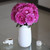 Garden Rose Yves Piaget 36 Stems Of 40 Cm Hot Pink Farm Direct Fresh Cut Flowers By Bloomingmore