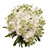White Stock - Fresh Cut - 140 Stems