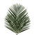 Tepee Palm - Fresh Cut - 200 Stems