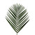 Tepee Palm - Fresh Cut - 200 Stems