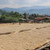 Sidamo Ethiopia Single Origin Coffee | Organic | Fresh Roasted