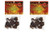 Dried Carolina Reaper Pepper Pods, 1/4 Oz. Packet - 2 Pack
