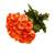 Orange Roses - 50 Cm - Fresh Cut Flowers - 75 Stems - By Bloomingmore