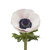 Anemones 140 Stems Of Light Pink Farm Direct Fresh Cut Flowers By Bloomingmore